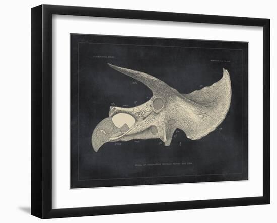 Paleontology - Prorsus-The Vintage Collection-Framed Giclee Print