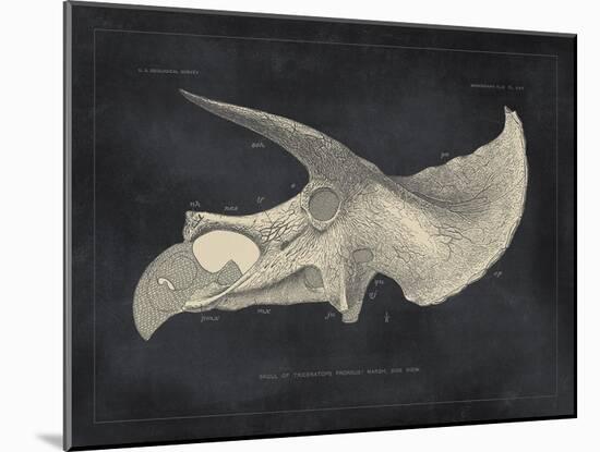 Paleontology - Prorsus-The Vintage Collection-Mounted Giclee Print