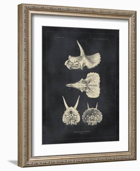 Paleontology - Triceratops-The Vintage Collection-Framed Giclee Print