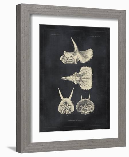 Paleontology - Triceratops-The Vintage Collection-Framed Giclee Print