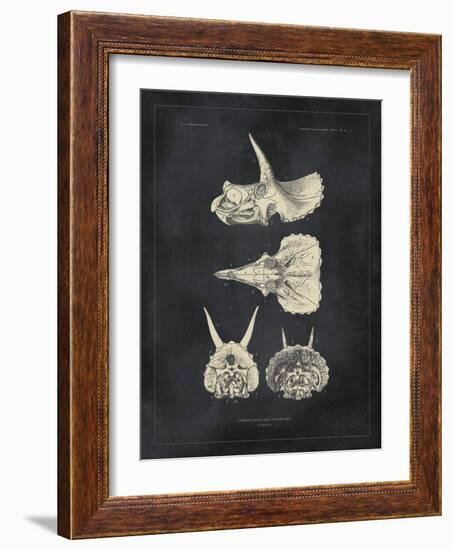 Paleontology - Triceratops-The Vintage Collection-Framed Giclee Print