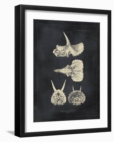 Paleontology - Triceratops-The Vintage Collection-Framed Giclee Print