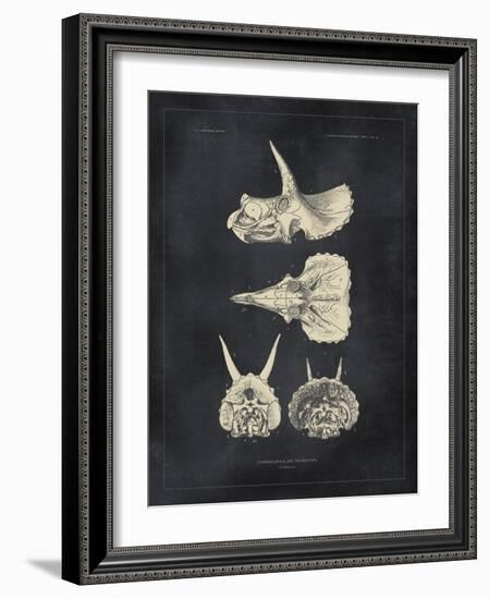 Paleontology - Triceratops-The Vintage Collection-Framed Giclee Print