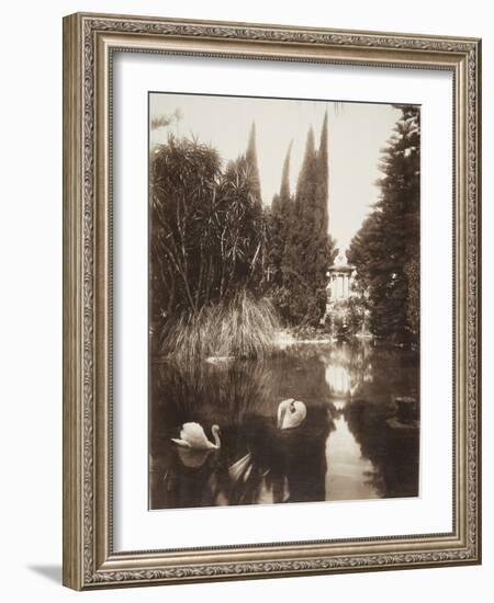 Palermo: in the Park of the Villa Tasca, 1895-Wilhelm Von Gloeden-Framed Photographic Print