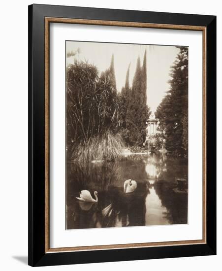 Palermo: in the Park of the Villa Tasca, 1895-Wilhelm Von Gloeden-Framed Photographic Print