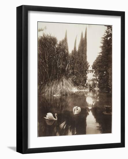 Palermo: in the Park of the Villa Tasca, 1895-Wilhelm Von Gloeden-Framed Photographic Print