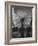 Palermo-Jim Dratfield-Framed Photo