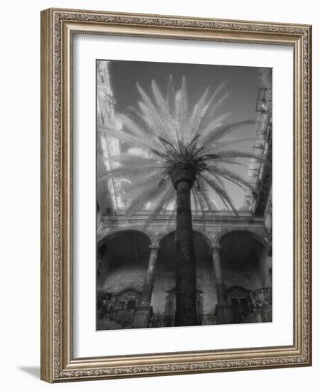 Palermo-Jim Dratfield-Framed Photo