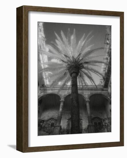 Palermo-Jim Dratfield-Framed Photo