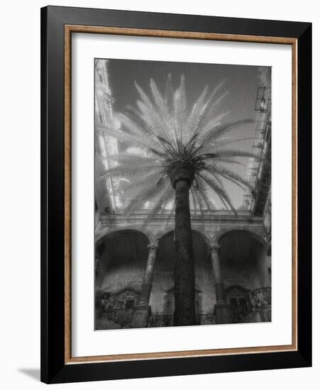 Palermo-Jim Dratfield-Framed Photo