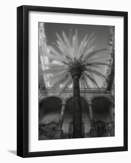 Palermo-Jim Dratfield-Framed Photo