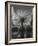 Palermo-Jim Dratfield-Framed Photo