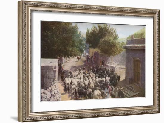 Palestine', c1930s-Ewing Galloway-Framed Giclee Print