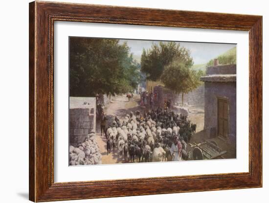 Palestine', c1930s-Ewing Galloway-Framed Giclee Print