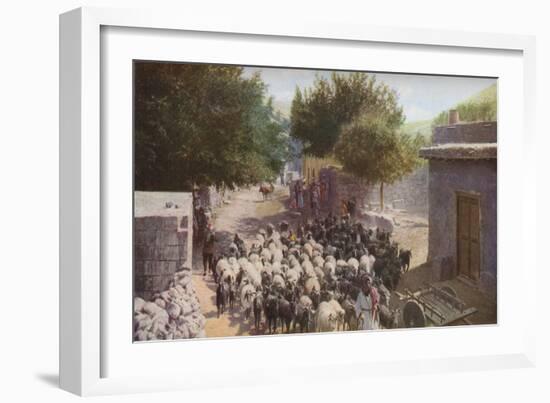 Palestine', c1930s-Ewing Galloway-Framed Giclee Print