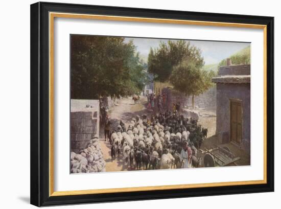 Palestine', c1930s-Ewing Galloway-Framed Giclee Print