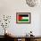 Palestine Flag Design with Wood Patterning - Flags of the World Series-Philippe Hugonnard-Framed Art Print displayed on a wall