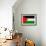 Palestine Flag Design with Wood Patterning - Flags of the World Series-Philippe Hugonnard-Framed Premium Giclee Print displayed on a wall