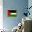 Palestine Flag Design with Wood Patterning - Flags of the World Series-Philippe Hugonnard-Framed Stretched Canvas displayed on a wall