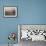 Palestinian Man Looks out over Plains-null-Framed Photographic Print displayed on a wall