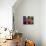 Palestinian Woman in Colourful Scarf and Carrying Bag on Her Head Walking Past an Orange Stall-Eitan Simanor-Photographic Print displayed on a wall