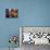 Palestinian Woman in Colourful Scarf and Carrying Bag on Her Head Walking Past an Orange Stall-Eitan Simanor-Mounted Photographic Print displayed on a wall