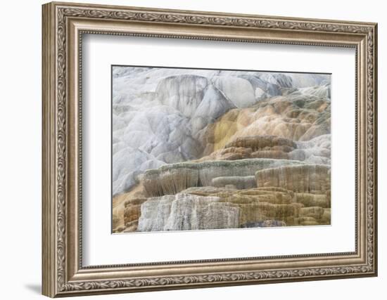 Palette Spring Terraces composed of travertine deposits colored by bacteria. Mammoth Hot Springs-Alan Majchrowicz-Framed Photographic Print