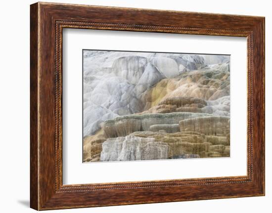 Palette Spring Terraces composed of travertine deposits colored by bacteria. Mammoth Hot Springs-Alan Majchrowicz-Framed Photographic Print