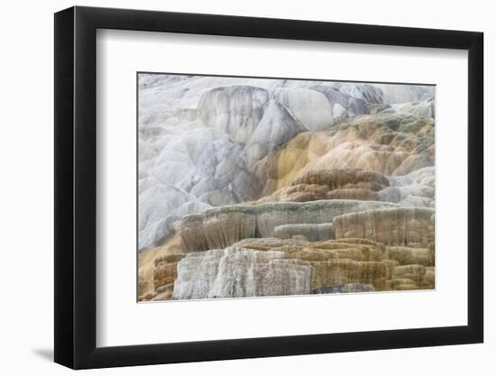 Palette Spring Terraces composed of travertine deposits colored by bacteria. Mammoth Hot Springs-Alan Majchrowicz-Framed Photographic Print