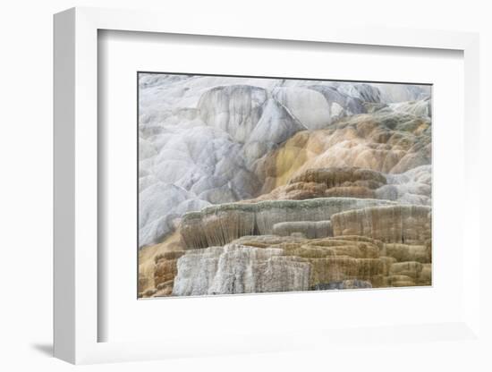 Palette Spring Terraces composed of travertine deposits colored by bacteria. Mammoth Hot Springs-Alan Majchrowicz-Framed Photographic Print