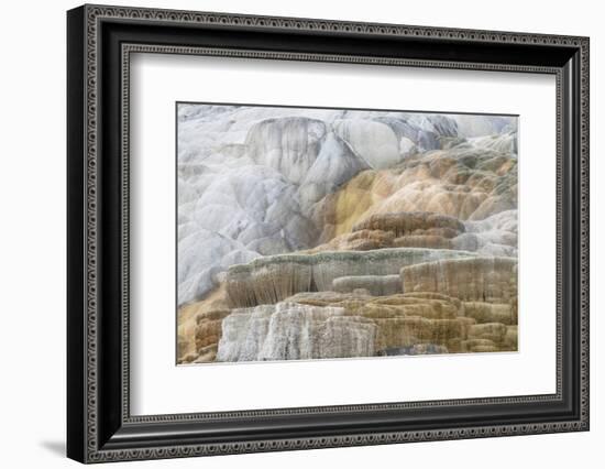 Palette Spring Terraces composed of travertine deposits colored by bacteria. Mammoth Hot Springs-Alan Majchrowicz-Framed Photographic Print