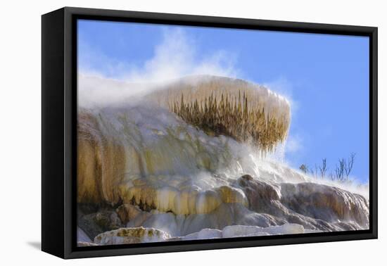 Palette Spring, Travertine Terraces, Mammoth Hot Springs, Yellowstone National Park, Wyoming-Gary Cook-Framed Premier Image Canvas