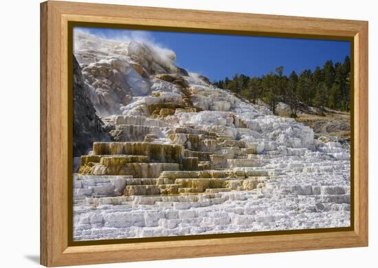 Palette Spring, Travertine Terraces, Mammoth Hot Springs, Yellowstone National Park, Wyoming-Gary Cook-Framed Premier Image Canvas