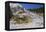 Palette Spring, Travertine Terraces, Mammoth Hot Springs, Yellowstone National Park, Wyoming-Gary Cook-Framed Premier Image Canvas