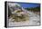 Palette Spring, Travertine Terraces, Mammoth Hot Springs, Yellowstone National Park, Wyoming-Gary Cook-Framed Premier Image Canvas