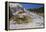 Palette Spring, Travertine Terraces, Mammoth Hot Springs, Yellowstone National Park, Wyoming-Gary Cook-Framed Premier Image Canvas