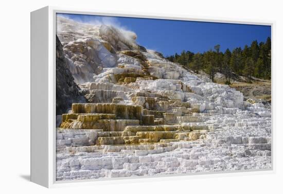 Palette Spring, Travertine Terraces, Mammoth Hot Springs, Yellowstone National Park, Wyoming-Gary Cook-Framed Premier Image Canvas