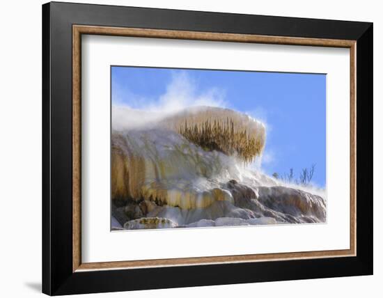 Palette Spring, Travertine Terraces, Mammoth Hot Springs, Yellowstone National Park, Wyoming-Gary Cook-Framed Photographic Print