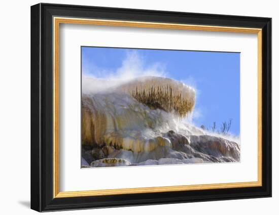 Palette Spring, Travertine Terraces, Mammoth Hot Springs, Yellowstone National Park, Wyoming-Gary Cook-Framed Photographic Print