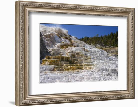 Palette Spring, Travertine Terraces, Mammoth Hot Springs, Yellowstone National Park, Wyoming-Gary Cook-Framed Photographic Print