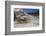 Palette Spring, Travertine Terraces, Mammoth Hot Springs, Yellowstone National Park, Wyoming-Gary Cook-Framed Photographic Print