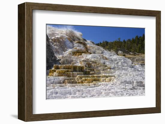 Palette Spring, Travertine Terraces, Mammoth Hot Springs, Yellowstone National Park, Wyoming-Gary Cook-Framed Photographic Print