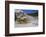 Palette Spring, Travertine Terraces, Mammoth Hot Springs, Yellowstone National Park, Wyoming-Gary Cook-Framed Photographic Print