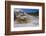 Palette Spring, Travertine Terraces, Mammoth Hot Springs, Yellowstone National Park, Wyoming-Gary Cook-Framed Photographic Print