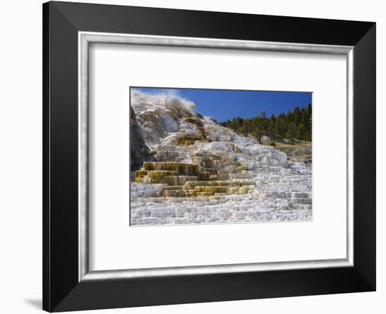 Palette Spring, Travertine Terraces, Mammoth Hot Springs, Yellowstone National Park, Wyoming-Gary Cook-Framed Photographic Print