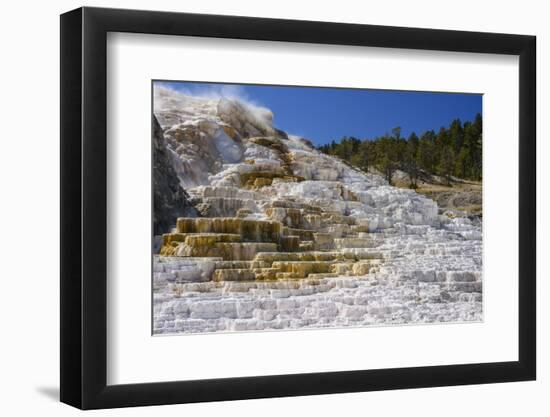 Palette Spring, Travertine Terraces, Mammoth Hot Springs, Yellowstone National Park, Wyoming-Gary Cook-Framed Photographic Print