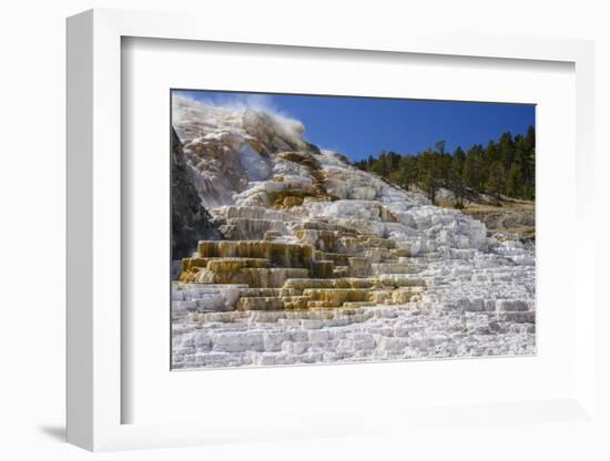 Palette Spring, Travertine Terraces, Mammoth Hot Springs, Yellowstone National Park, Wyoming-Gary Cook-Framed Photographic Print