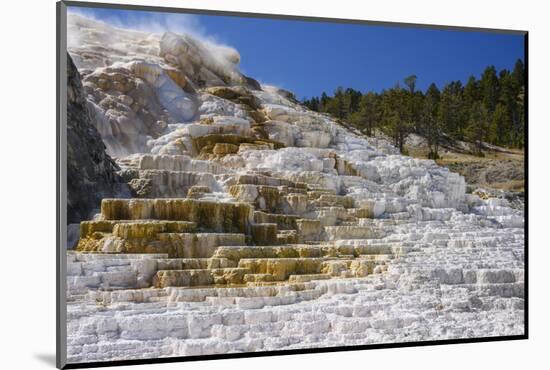 Palette Spring, Travertine Terraces, Mammoth Hot Springs, Yellowstone National Park, Wyoming-Gary Cook-Mounted Photographic Print