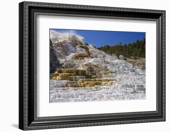 Palette Spring, Travertine Terraces, Mammoth Hot Springs, Yellowstone National Park, Wyoming-Gary Cook-Framed Photographic Print