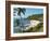 Paliem (Lakeside Beach), Arambol (Harmal), Goa, India, Asia-Stuart Black-Framed Photographic Print